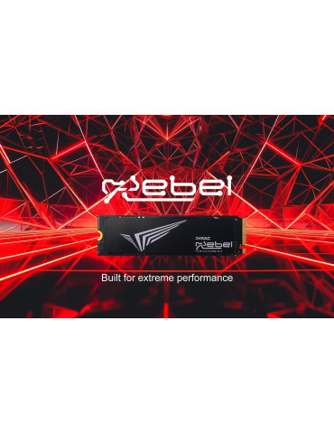 SSD диск Dynac 2TB Rebel Series PCIe Gen4 x4, M.2 2280 - DREBEL2TB/R