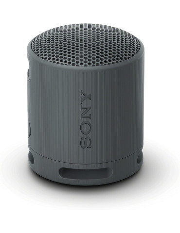 Bluetooth колонка Sony SRS-XB100 Portable Bluetooth Speaker, black - SRSXB100B.CE7