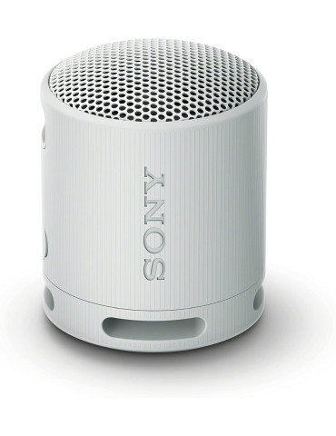 Bluetooth колонка SRS-XB100 Portable Bluetooth Speaker, Light Grey - SRSXB100H.CE7