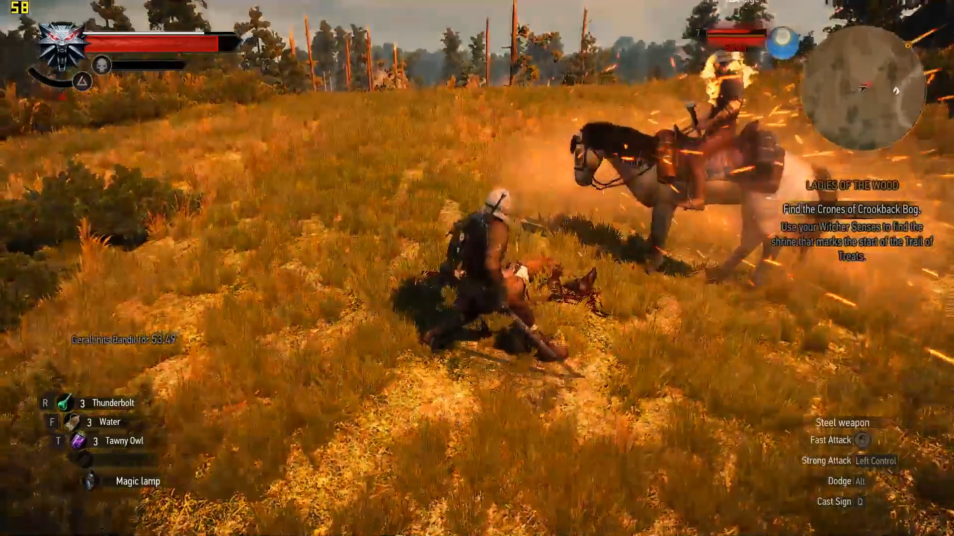 The Witcher 3: Wild Hunt