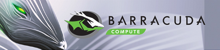 Seagate Barracuda